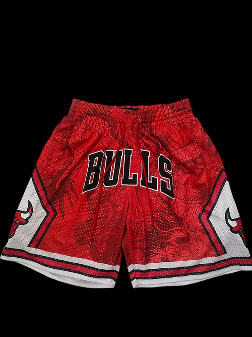 Pantalones cortos de la NBA de los Chicago Bulls 2024