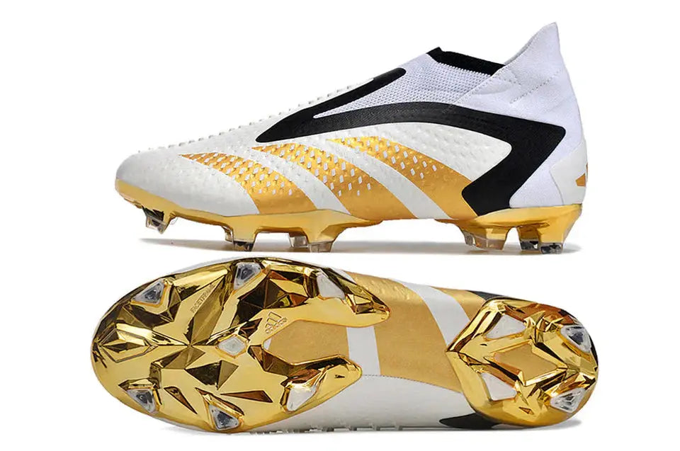 PREDATOR ACCURACY+ FG KITGOAL