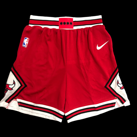 Pantalones cortos de la NBA de los Chicago Bulls